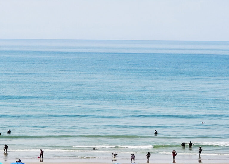 필그림교회 봄 나들이